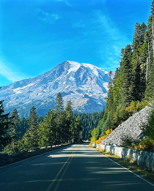 istock Journey to the tranquility: the road to Rainier 2220494375