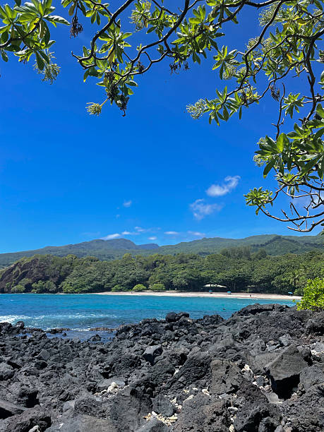 istock Ocean Bay From Mountain To Sea 2220497380