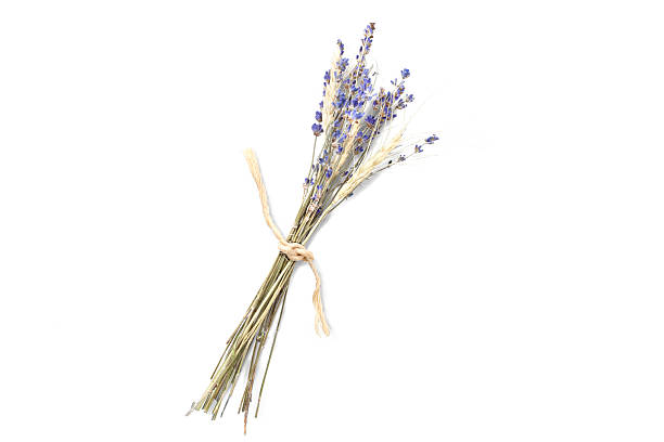 Rustic bundle of lavender and wheat tied with twine