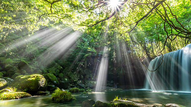 Sunlight Filtering Through at Nabegataki Waterfall, Kumamoto, Japan