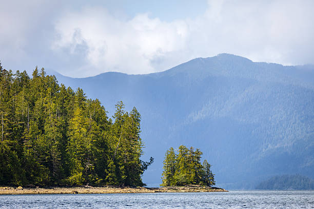 istock Tofino, British Columbia, Canada 2220499935