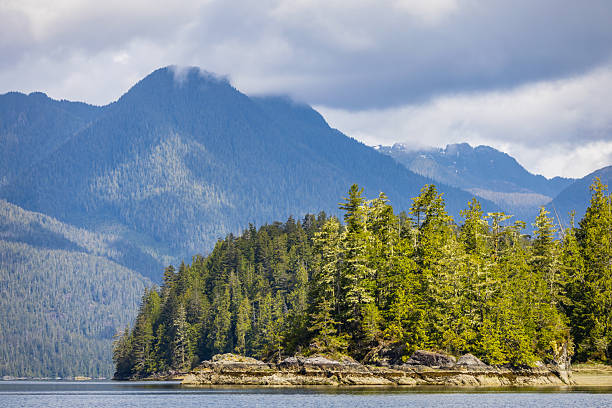 istock Tofino, British Columbia, Canada 2220499946