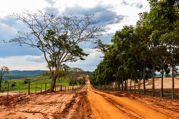 Dirt road on rural properties in Brazil