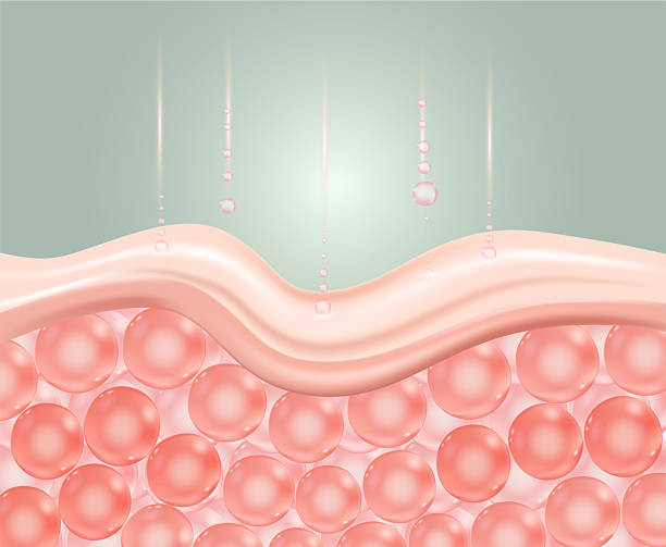 istock Water and vitamin drop on skin cell.  Concept cosmetics solution. Serum through the skin layer and reduce up saggy skin of the skin cell 2220503300