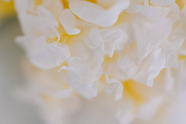 istock Smooth texture on white peony flower petals in bloom 2220508522