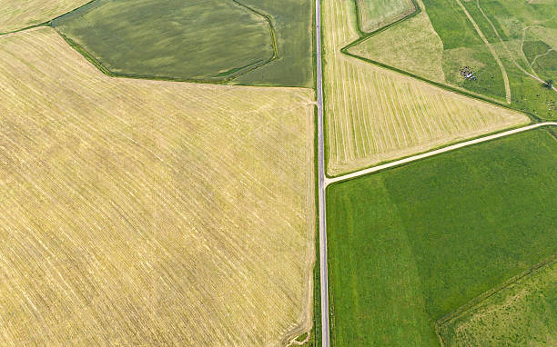 istock agricultural fields with different colors in countryside. farmland patchwork. aerial view. 2220509863