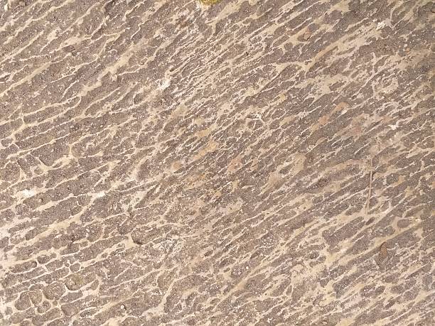 istock Closeup image of a brown dirt path. Perfect for nature blogs. 2220511601