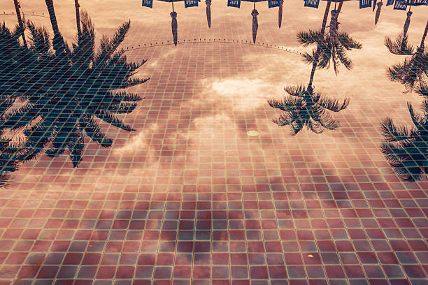 Empty sunbeds and parasols by a swimming pool at a resort, top view