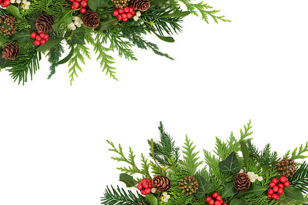 istock Christmas Winter Natural Flora Nature Border Background 2220517142