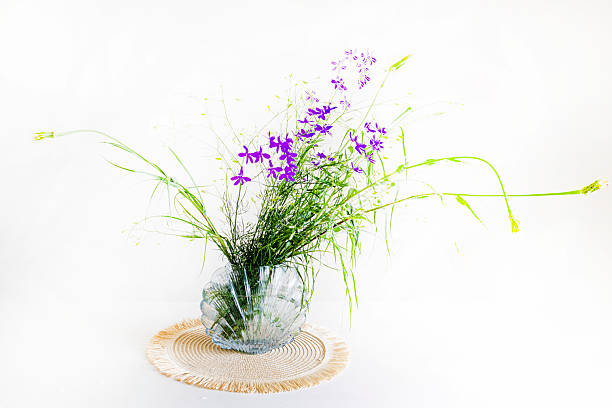 an autumn evening with a glass of drink, flowers and a guitar, a bowl full of nuts and decorative flowers