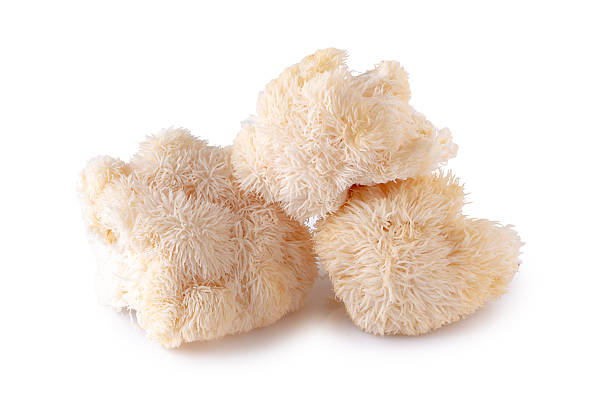 istock Yamabushitake mushroom or lion mane mushroom isolated over white background. 2220520384