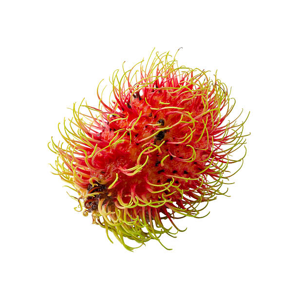 istock Rambutan sweet fruit isolated over white background. 2220520406