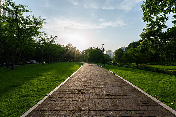 istock road in city park 2220523433