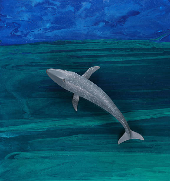 toy whale on sea background