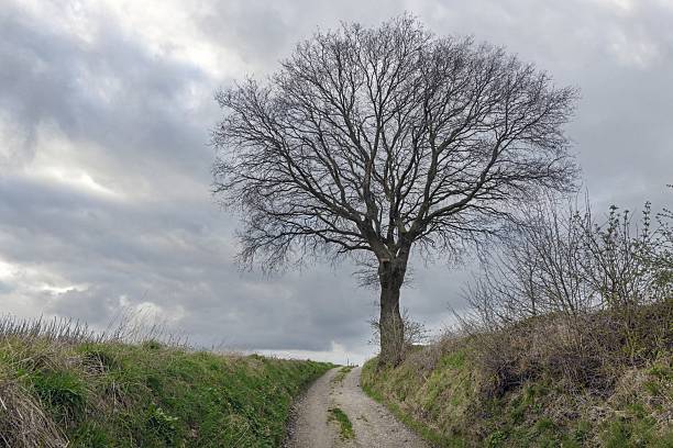 istock Landscapes in early spring at Simpelveld Limburg 2220524648
