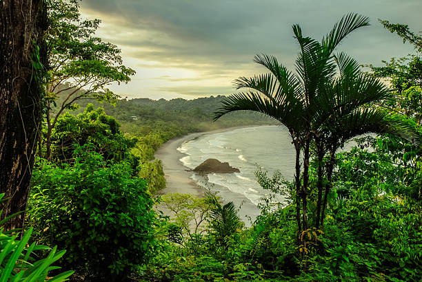 A high angle view of a beach in the Corcovado NP in Costa Rica