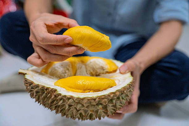 istock Close-Up of Fresh Durian Being Handled for Eating 2220532786
