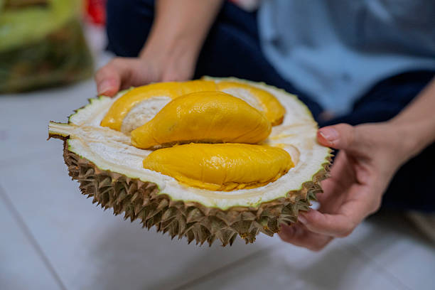 istock Freshly Opened Durian with Rich Yellow Flesh 2220533126