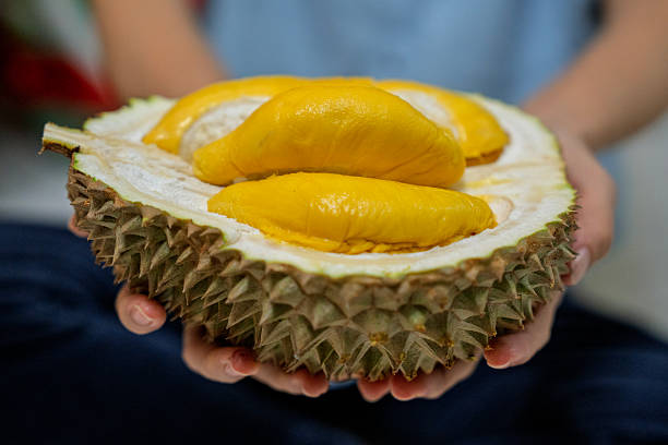 istock Freshly Opened Durian with Rich Yellow Flesh 2220533381