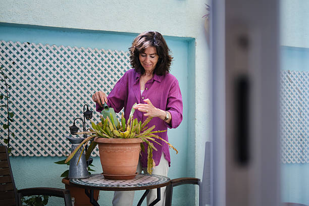 Senior woman watering plants on her balcony garden during morning stock photo