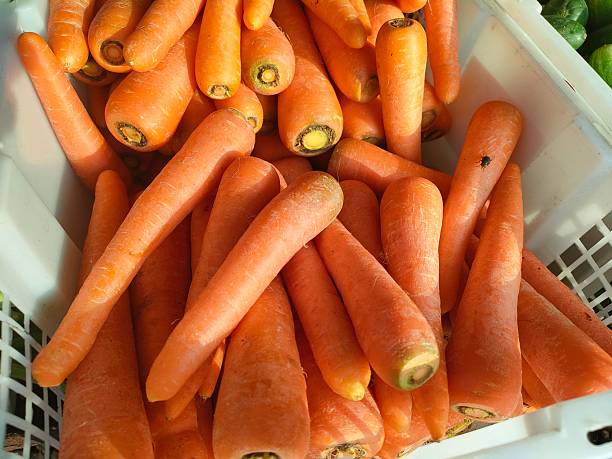 Fresh orange carrots piled in a plastic basket under sunlight. Healthy root vegetable ideal for nutrition, vegan food, farming, organic produce, and culinary ingredient themes.