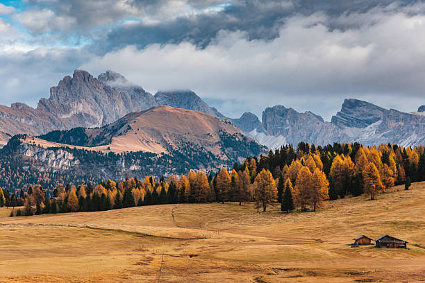 istock autumn landscape in seiser alm 2220548523