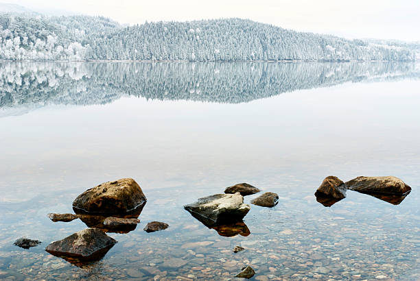 Frozen trees and a mirror-like lake reflecting a winter landscape near ⁨Loch Garry⁩, ⁨Invergarry⁩, ⁨Scotland⁩, ⁨United Kingdom⁩