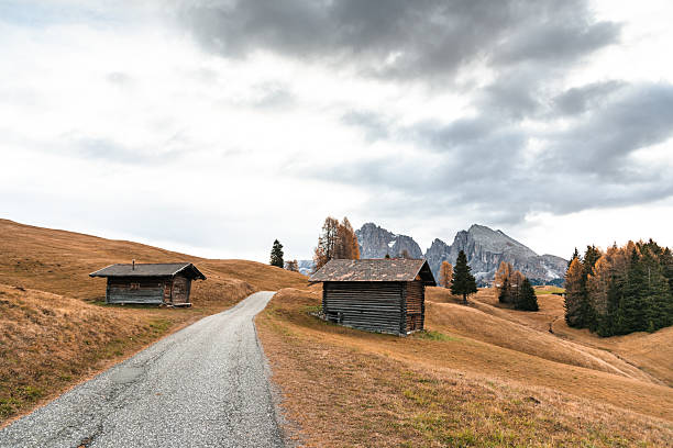 autumn landscape in seiser alm