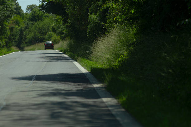 A car is steadily driving down a scenic country road that is beautifully surrounded on both sides by tall, green trees and shrubbery