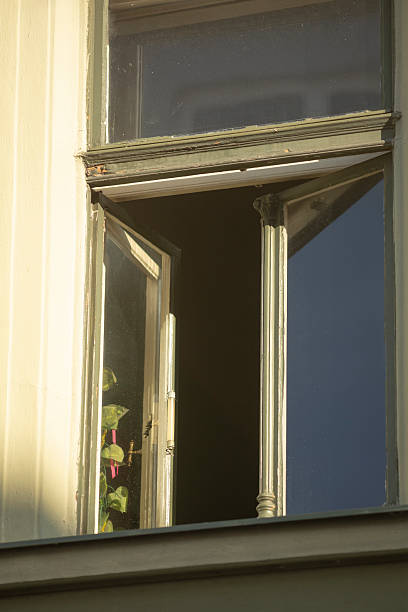 istock There is a window that has a clear reflection of a beautiful plant in it 2220558393