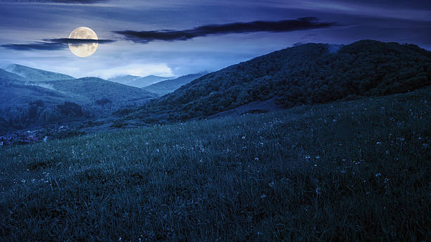istock rural landscape in mountain at night 2220560345
