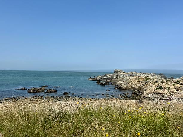 istock Gijang Beach in Busan, South Korea 2220560862