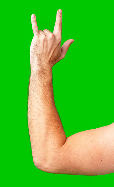 istock human arm gesturing with raised fingers against a bright green backdrop 2220561554