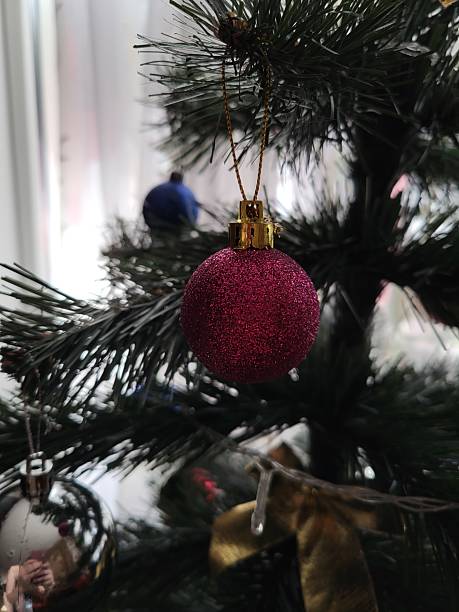 Close-up of a red Christmas ball ornament hanging on a pine tree branch.