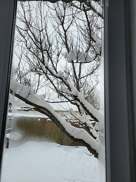 istock Winter view through frosty window 2220562190