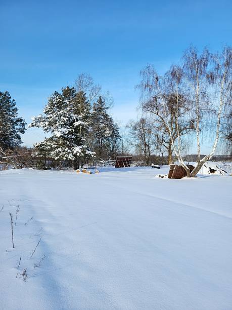 istock Snowy countryside yard with firewood and trees 2220562253