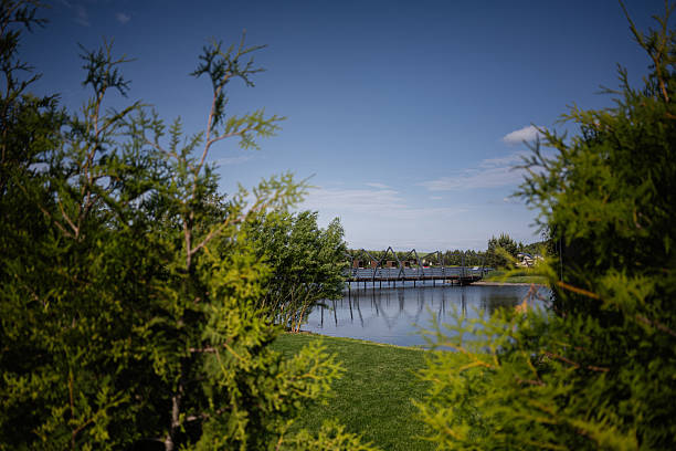 Scenic view of a serene lake with a wooden bridge and surrounding greenery.