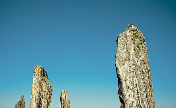 A panoramic view of the famous Stone Forest (Shilin) in Kunming, Yunnan, China. Resembling petrified trees, the karst formations rise majestically amidst vibrant green foliage and under a picturesque blue sky