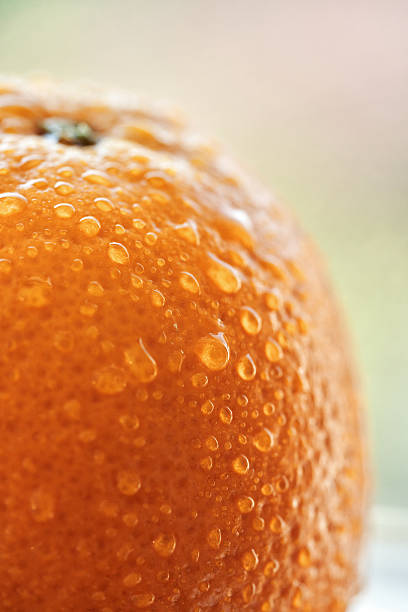 Close-Up of Orange Fruit
