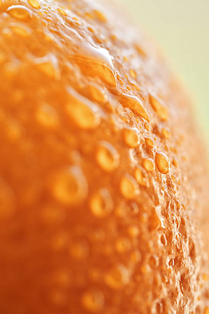 Close-Up of Orange Fruit