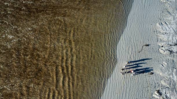 istock Gathered Shadows Amidst Rippling Coastal Shoreline Patterns 2220572059