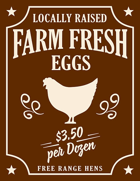 Farmers Market sign with farm elements & lots of room for your text. Easy to edit. The expanded fonts are on their own layer. Comes with a high resolution jpeg.
