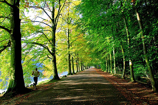 Sportsman jogging in wood at autumn season