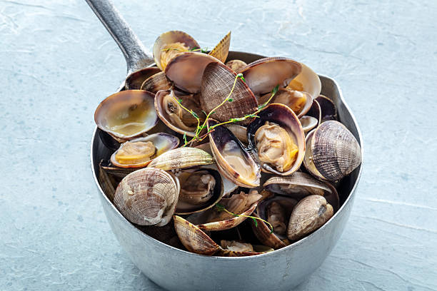 istock Vongole clams in a saucepan with thyme. Seafood sauce 2220573169