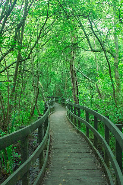 istock Views of A Public Country Parkland 2220573197