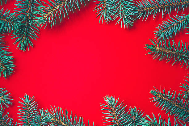 istock Fir branches on red background. Christmas wallpaper. 2220573846