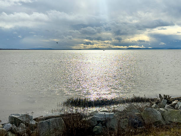 Iona Beach Regional Park in Winter in Richmond, Vancouver, British Colunbia, CANADA.