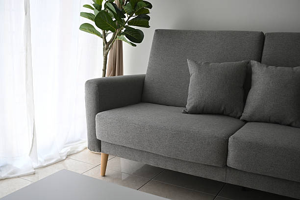 istock New home, new atmosphere, soft sofa. 2220581385