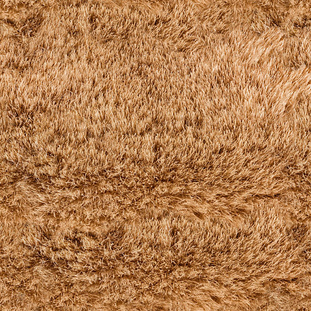 istock Seamless 4k photo texture of light brown fur material. 2220581863