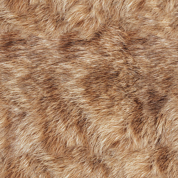 istock Seamless 4k photo texture of light brown fur material. 2220581955